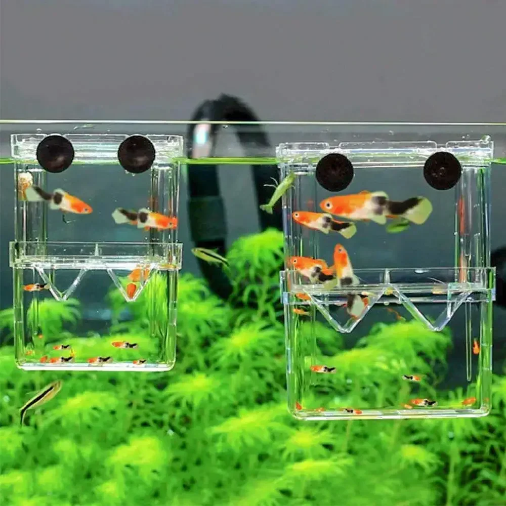 Aquarium Fisch Züchter Box Langlebig Betta Fisch Tanks Fische Zucht Isolation Box Schlüpfen Inkubator Box Für BabyFish Garnelen Image