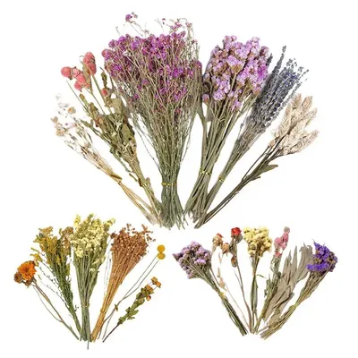 Natural Dried Flower Hamster Bedding Small Animals Cage Landscaping Supplies Hamster Accessories