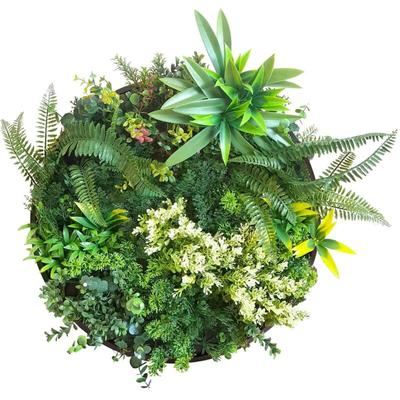 Mowgli - Künstlicher vertikaler Garten, Panel mit schwarzem Aluminium-Rahmen ø 50 cm Image