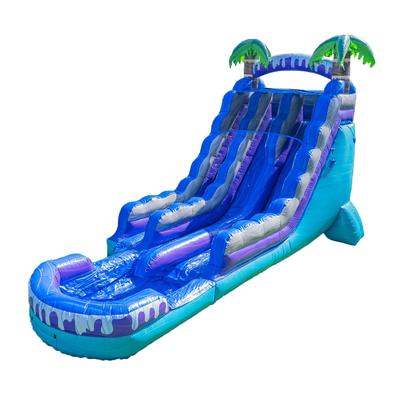 XJUMP Tropical Deep Sea 19' Dual Lane Side Loader Water Slide with Pool, for Kids and Adults, Commercial Grade (Blower Included)