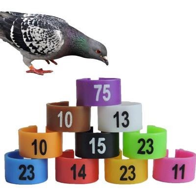 Durchmesser 1,6 cm) 60 Stück Kunststoff-Tauben-Identifikationsring, Haustiere, Huhn, Geflügel, Image