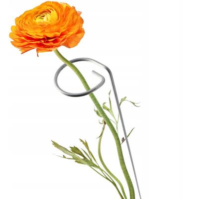 Kadax - Pflanzehalter aus Stahl pulverbeschichtet, Blumenstütze, Rankhilfe, 60 cm Image