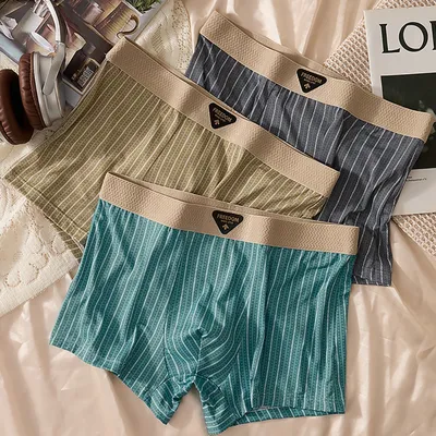 3 Teile/paket L-6XL Große Größe Eis Seide männer Höschen 10A Antibakterielle Mesh Gabelung Image