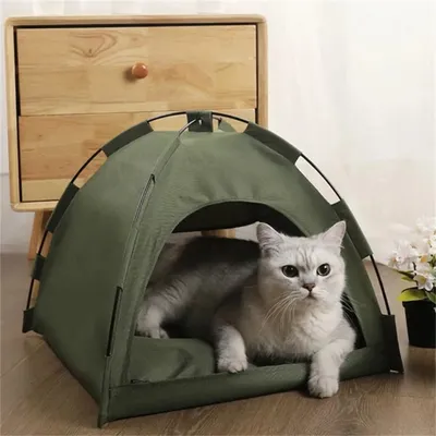 Cat+Supplies