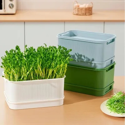 1Pcs Seedling Tray Bean Sprouts Seedling Pots Free Seed Germination PropagationTraysSoil-Free Bean