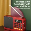 Radio Fm Radio con scheda da 32 GB Scatola audio Bluetooth ricaricabile di emergenza portatile Mini altoparlante vintage Lettore Mp3 portatile