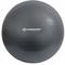 Schildkröt 960158 - Fitness, Gymnastikball inkl. Luftpumpe, 85 cm - mts Sportartikel