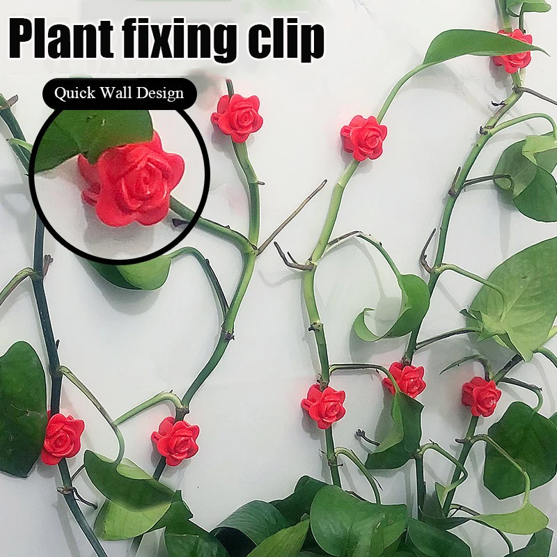 10/50Pcs Rose Pflanze Klettern Wand Halterung Clips Rattan Reben Fixer Selbst-Klebe Haken Unsichtbare Reben Klettern feste Wand Clip Image