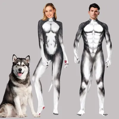 Pet+Costumes