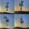 Statue de jardin extérieure-fées ange danse avec pissenlit fleurs décoration de jardin artisanale en