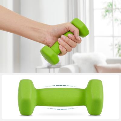 TEMU Songmics Weight Lifting Dumbbell Kit With Storage Stand For Fitness Vinyl Coated Image