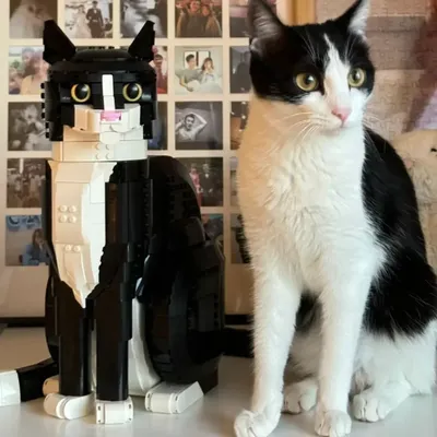 1Pcs MOC NewTuxedo Cat Building Blocks Creative Cartoon Animal Assembly Diy Educational Puzzle Party