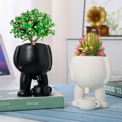 Flowers+Plants