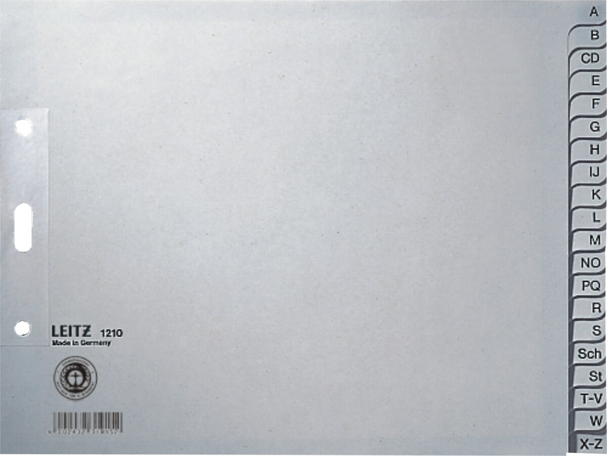 LEITZ Register A4+ Tauenpapier 10-tlg. blanko grau Packung mit 20 Stück Image