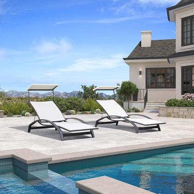 PURPLE LEAF Patio Chaise Lounge Chair Set of 2 Outdoor Lounge Chair with Arm All Weather Adjustable Lounger