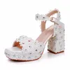 Plus Größe 34-42 Party Abend Hochzeit Schuhe für Frauen Sommer Mode High Heel Weiß Plattform