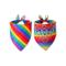 Unisex-Paisley-Regenbogen-Pride-Schal – ein farbenfrohes LGBTQ-Accessoire für Festivals, Paraden und den Alltag