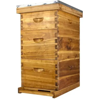 Hoover Hives Complete 8-Frame Beehive Kit – Wax-Coated Fir Wood, Includes 2 Deep Brood Boxes, 1