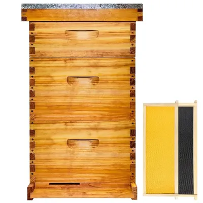 Gold Standard 10 Frame Bee Hive Beeswax Coated Includes Beehive Frames and Foundations (2 Deep Boxes