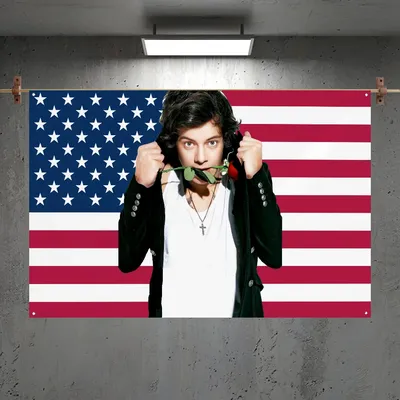 America H-Harry S-Styles Flag Home&Garden Outdoor Microfiber Printed Decoration Background Art Flag