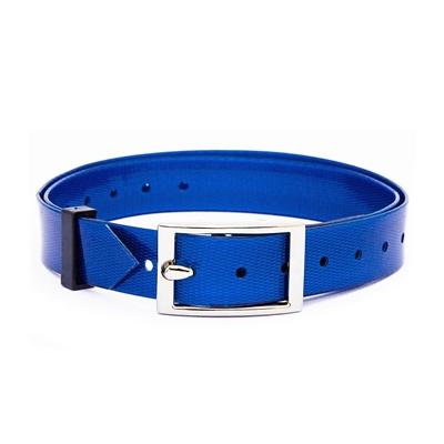 Dogtrace Halsband für "D-Control mini" + "D-Mute S", blau Image