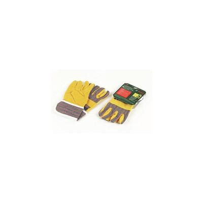 Card image cap