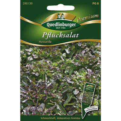Quedlinburger Pflücksalat Hussarde - Premium Gemüsesamen Image