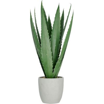 Kunstpflanze CREATIV GREEN "Agave", grün, H:80cm, Kunststoff, Kunstpflanzen, mit 13 Agavenblättern Image