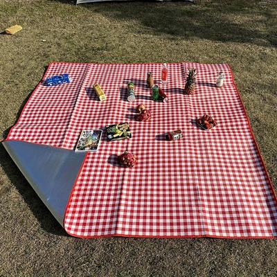 TEMU Used, Portable Outdoor Foldable Picnic Mat, , Camping Blanket, Aluminum Film Material, Suitable For Camping, Beach, Spring , Outdoor Gatherings - Durable Non-woven Fabric Picnic Cloth Image