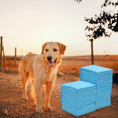 TEMU 40/80/120 Pack 60*60cm Puppy Pee Pads Training Pads Disposable Dog Pee Pads, Pet Diapers For Easy Quick-dry Potty Pads For Puppies | Dogs | Doggie| Cats | Rabbits Uppy Pee Pads Image