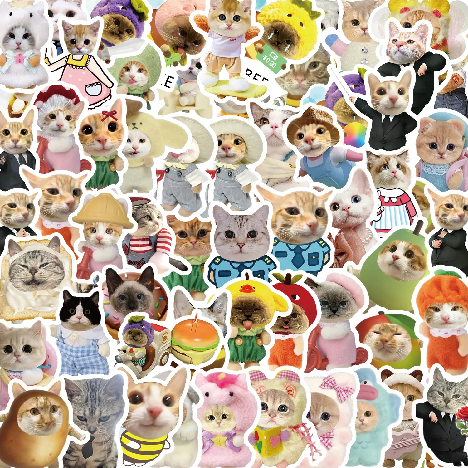 50/62Pcs Cartoon Katze Meme Graffiti Aufkleber Dekor Gitarre Notebook Gepäck DIY Wasserdichte Kinder Stationäre Notebook Aufkleber Image