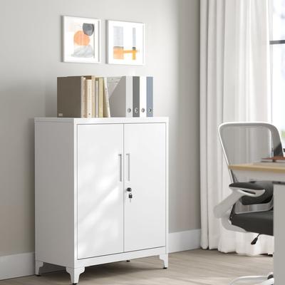 TEMU File Cabinet, Cabinet, Office Cabinet With 2 Doors, Lockable Cabinet, Steel Storage Cabinet, For Study, Living Room Image