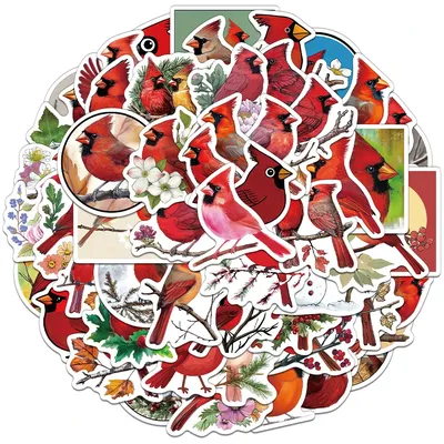 56PCS Kreative Kardinal Aufkleber Nette Ins Stil Dekorative Notebook, Hand Konto, Wasser Tasse, Image