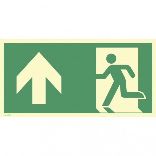 Dreifke® Schild, Notausgang links Pfeil oben, ISO 7010, PVC-U selbstklebend, 160-mcd, 297x148 mm Image