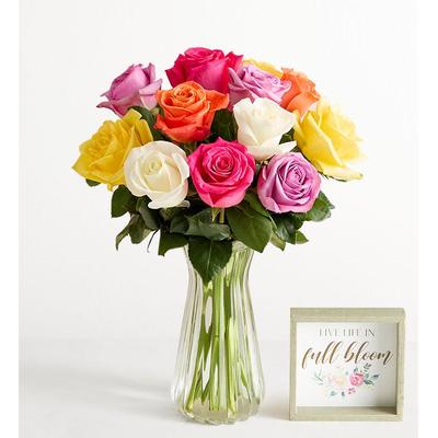 1-800-Flowers Flower Delivery One Dozen Assorted Roses W/ Clear Vase & Sign