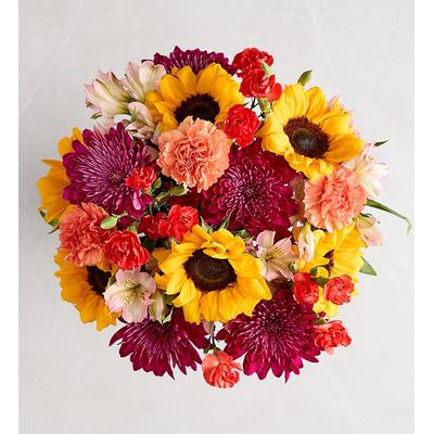 1-800-Flowers Flower Delivery Bouquet Of The Month Sweet Summer Daydream Bouquet Only (Including Shipping)