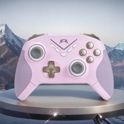 For Switch Wireless Game Controller 2.4G/Wired Gaming Controller Vibration Console Controller RGB Image