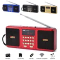 Altoparlante wireless radio FM stereo portatile Supporto batteria ricaricabile Scheda TF