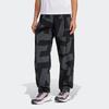 Outdoorhose ADIDAS TERREX "W CARGO AOP P", Damen, Gr. S, N-Gr, schwarz (schwarz, carbon), Obermaterial: 93% Polyamid, 7% Elasthan, sportlich, Hosen