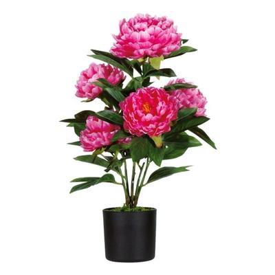 meet Kunstpflanze »Pfingstrose« 55 cm rosa, 55 cm