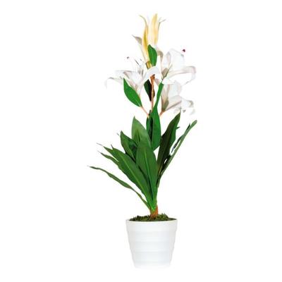 meet Kunstpflanze »Lilienblume« 65 cm, 65 cm