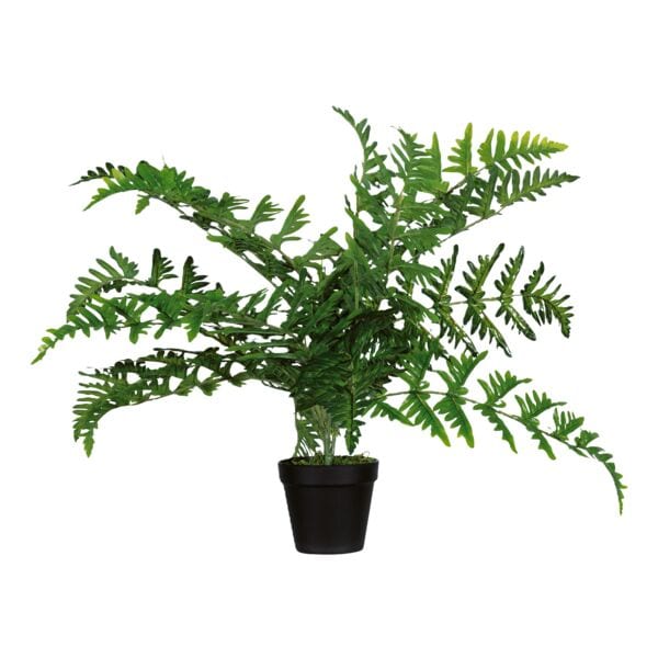 meet Kunstpflanze »Farn« 55 cm, 55 cm