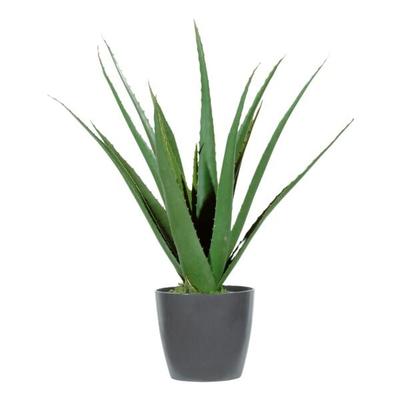 meet Kunstpflanze »Aloe Vera« 45 cm, 45 cm