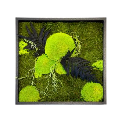 designline »Moos« Wald und Wiese Moosbild 39x39 cm Image