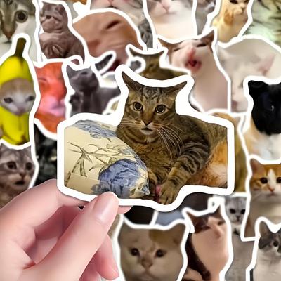 TEMU 110pcs Cat Meme Sticker Set With Storage Box, No Batteries Needed, Feather-free, Ideal For Journals, Scrapbooks, Diy Crafts, Laptops, And Phone Cases, Cat Sticker Image