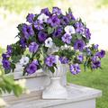1 mazzo di fiori artificiali per esterni, finti fiori di ipomea primaverili, fiori di seta veri per fioriere da esterno, resistenti ai raggi UV, fiori finti per casa, giardino, balcone, cortile,