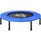 Trampolino Elastico per Allenamento con 30 Molle, Tappeto Fitness in Acciaio, Plastica e pp,