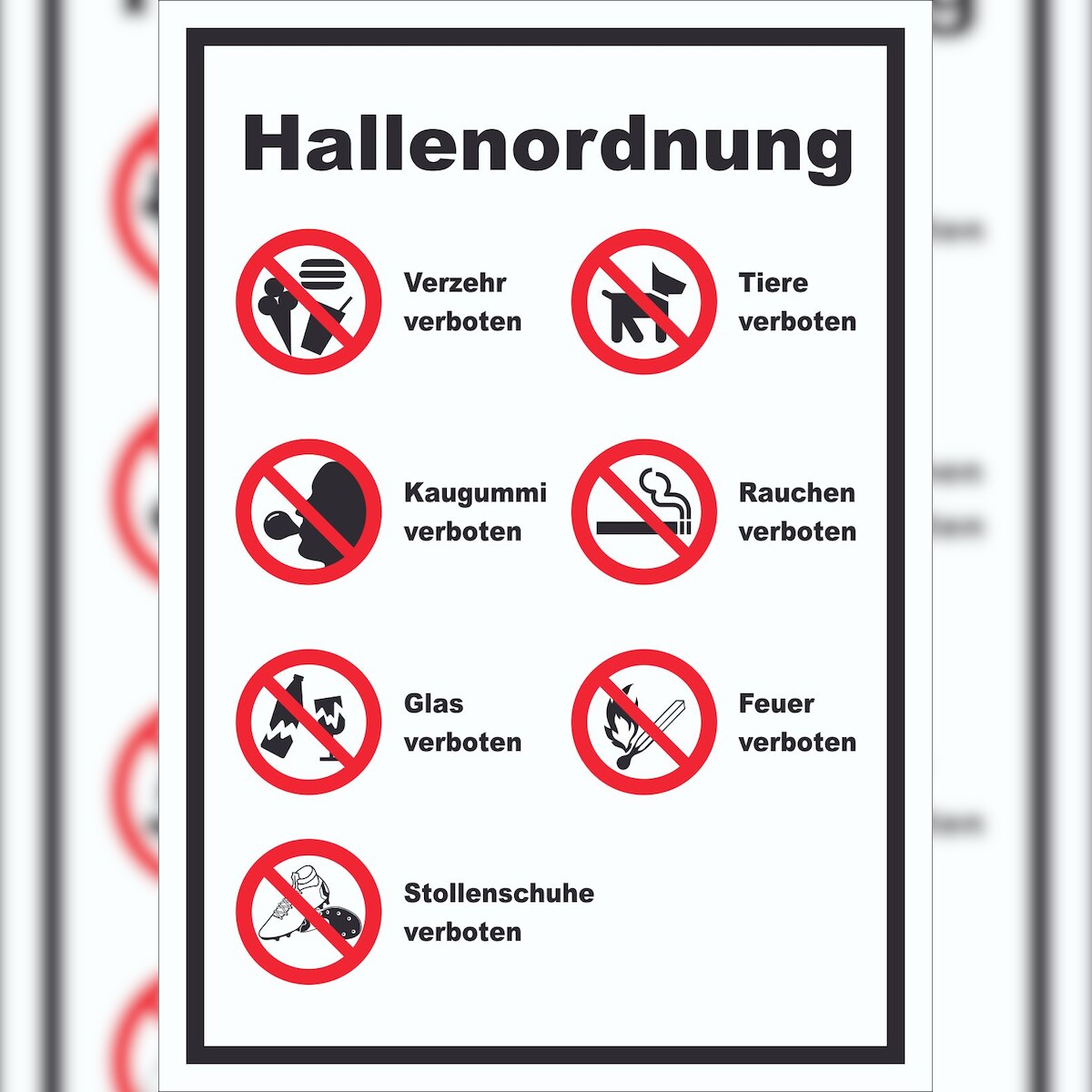 HB-Druck Schild Hallenordnung hochkant A3 (297x420mm) Image