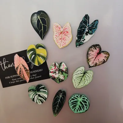6 Stück süße Begonia Monstera Kühlschrankmagnete, Kawaii tropische Pflanzen Kühlschrankmagnete, Whiteboard-Aufkleber Image