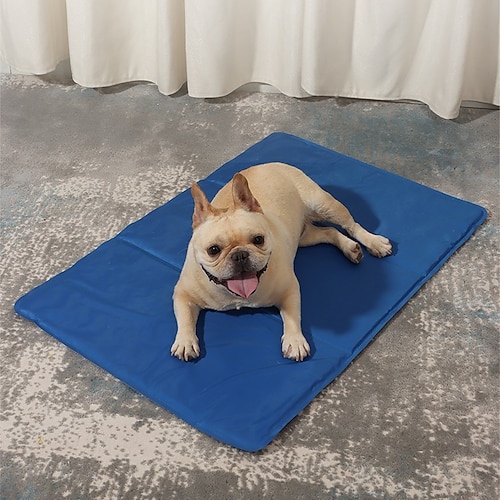 Hund Katze Hunde-Kostüm Mode Party Weich Waschbar Bequem Outdoor Alltagstauglich Katze Hund Image